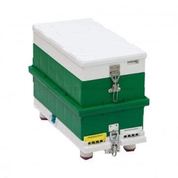 Technoset bee 6 frame Nucleus hive